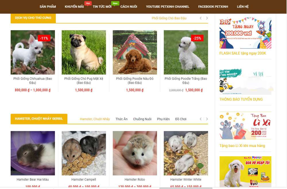 Giao diện trang website thú cưng khu vực Hóc Môn