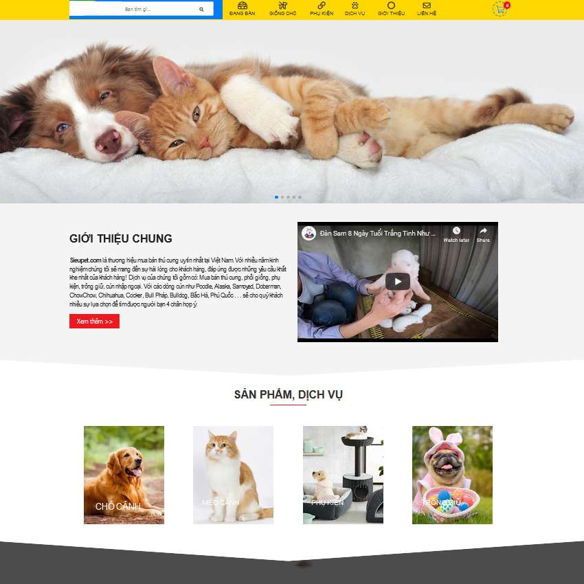 thiết kế trang website thú cưng quận Tân Bình