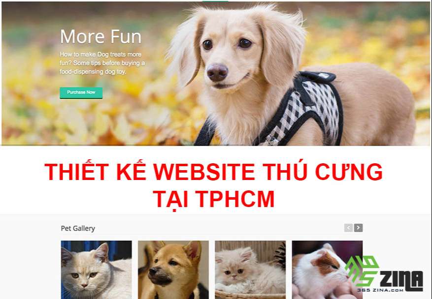Thiết kế website thú cưng chuyên nghiệp tại TPHCM