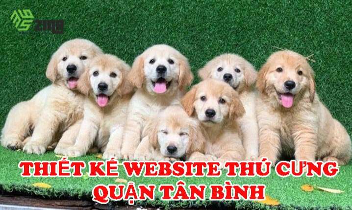 Thiết kế website thú cưng khu vực quận Tân Bình