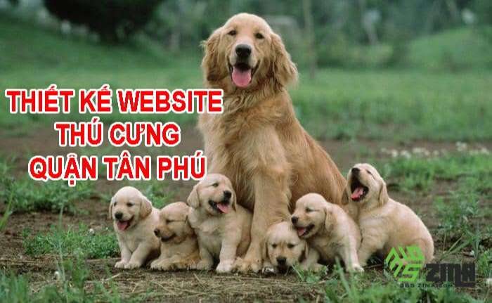 Thiết kế website thú cưng khu vực quận Tân Phú