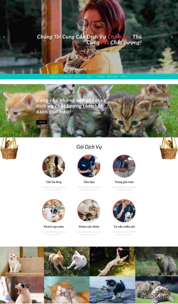 dịch vụ thiết kế trang website thú cưng khu vực quận Tân Phú