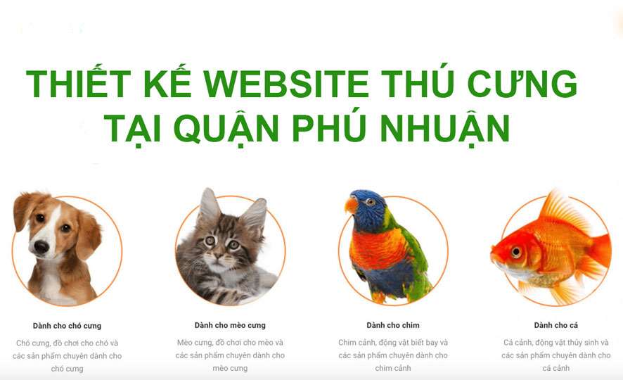 Thiết kế website thú cưng tại quận Phú Nhuận