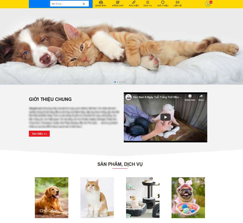 thiết kế website thú cưng tại Thành Phố Thủ Đức chuyên nghiệp